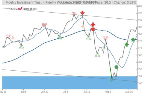 fwwfx|fidelity world index fund.
